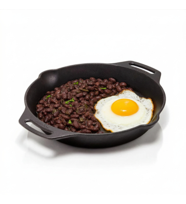 Fire Skillet fp30h-t with two handles