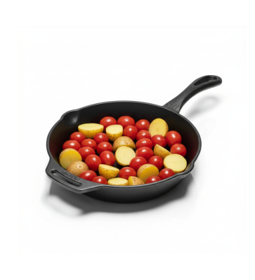 Petromax Feuerpfanne fp25 mit Stiel