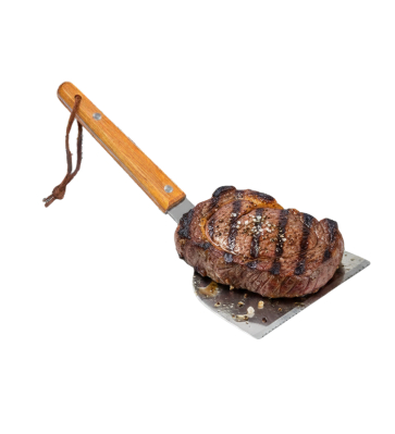 Monolith Spatula