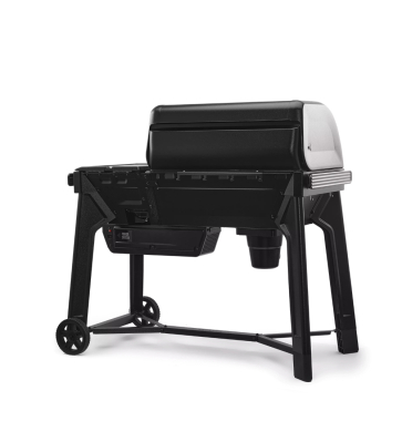 Traeger Woodridge