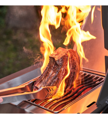 Napoleon Gasgrill Prestige 500 Edelstahl -50 Jahre Napoleon - JETZT 1976 Euro STATT 2299 Euro
